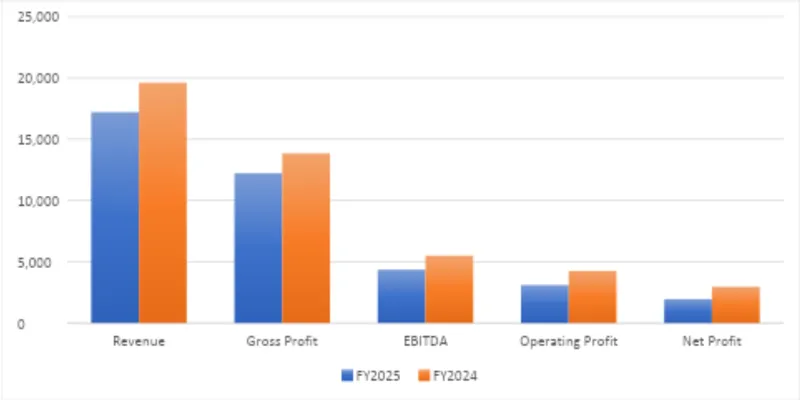 Financial Performance Analysis